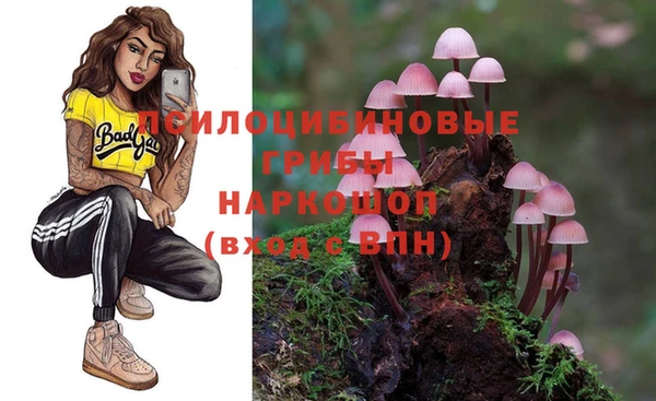 СК Алексеевка