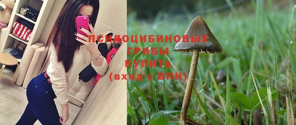мяу мяу мука Алексин