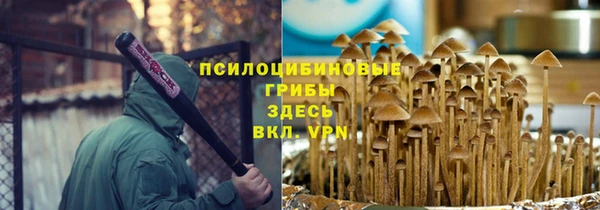 СК Алексеевка