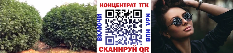 Дистиллят ТГК жижа  KRAKEN tor  Перевоз 