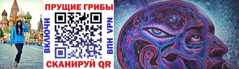 Псилоцибиновые грибы мицелий  shop клад  Перевоз 